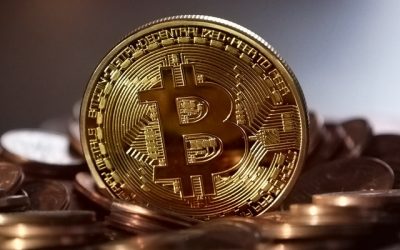 ¿Debería mi empresa invertir en criptomonedas ?